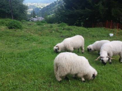 Bild 2:Praktikant/in gesucht