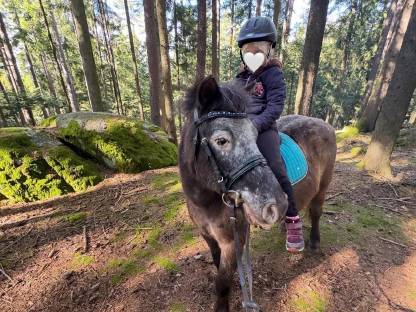 Bild 4:Biete Reitunterricht/Ponyreiten