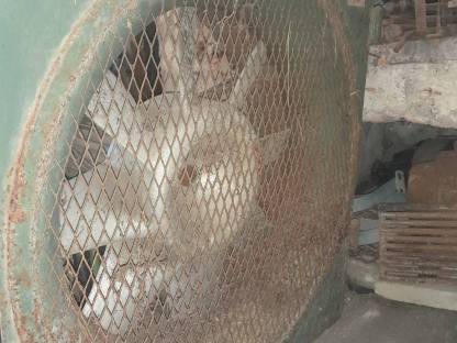 Bild 2:Heulüfter, Heubelüftung