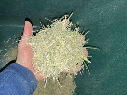 Bild 5:SAGRO Stationärfuttermischer 1-10 m³ für TMR Kalb Rose usw.