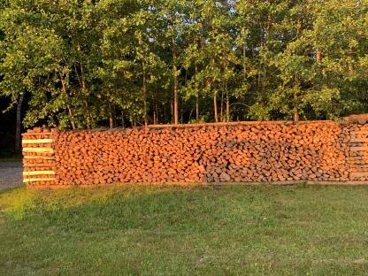Brennholz Buche Fichte