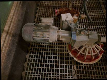 Bild 2:Legehennen-Stalleinrichtung