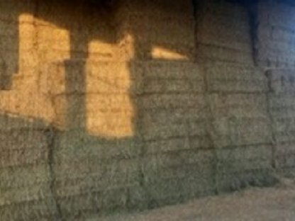 Bild 2:Zu verkaufen frisches Heu