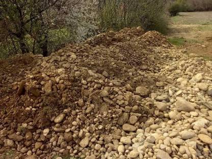 Bild 8:Steinsammler Globus SB 1600