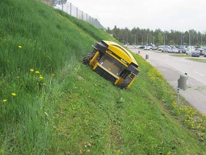 Bild 3:Biete Mäharbeiten