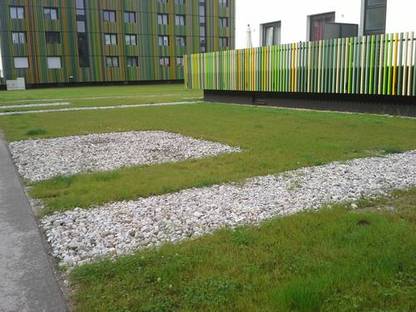 Bild 4:Schotterrasenanlage