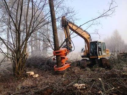 Bild 2:Entfernung von Bäumen und Buschwerk mit Fällzange und Bagger