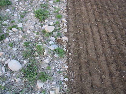 Bild 4:Steinfreie Ansaat mit Umkehrfräse