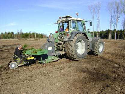 Bild 3:Wir übernehmen Ihre Aufforstungsarbeiten!