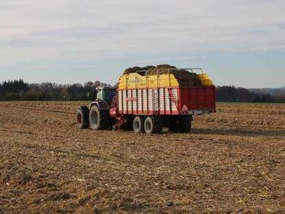 Bild 3:Maisstrohernte: Biogas aus Maisstroh effizient nutzen!