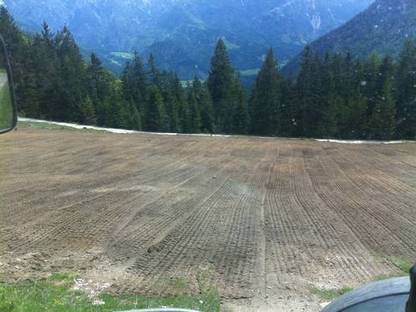 Bild 4:Alm- und Wildwiesenanlage