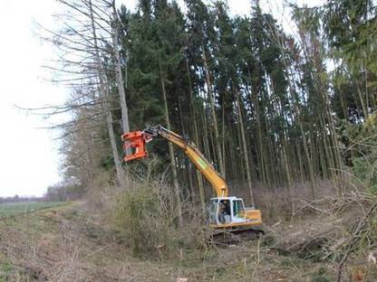 Bild 4:Entfernung von Bäumen und Buschwerk mit Fällzange und Bagger