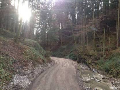 Bild 4:Agrar- & Forstwegesanierung