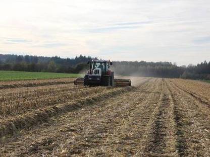 Bild 2:Maisstrohernte: Biogas aus Maisstroh effizient nutzen!