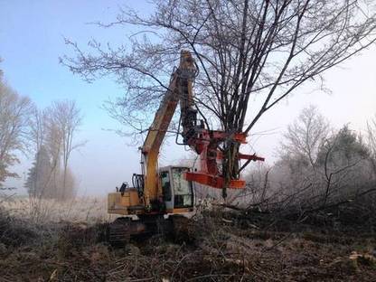 Bild 3:Entfernung von Bäumen und Buschwerk mit Fällzange und Bagger