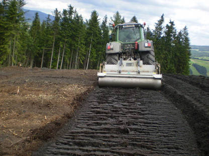 Bild 2:Wir erledigen Ihre Fräsarbeiten mit der Rodungsfräse