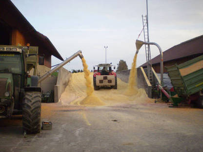 Bild 3:Maismühle – Wir helfen Ihnen beim Maismühlen!