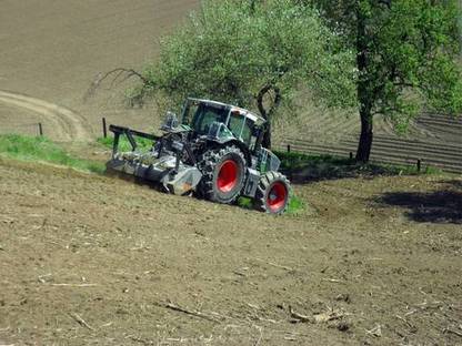 Bild 4:Rekultivierungsmaßnahmen mit Rodefräse und Forstmulcher