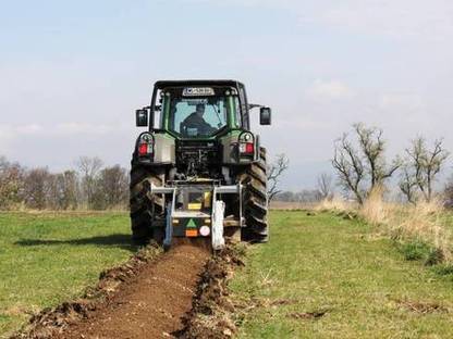 Bild 3:Entfernung von Wurzeln und Stöcken mit der Streifenfräse