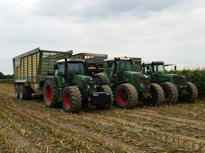 Bild 3:Übernehme Maisernte