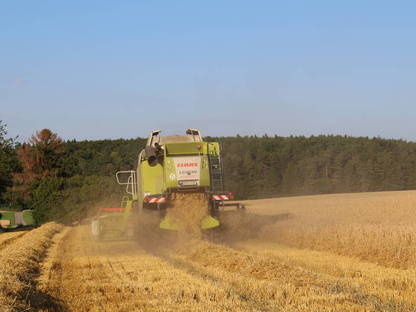 Bild 3:Lohndrusch, Lohnunternehmer, Mähdrescher