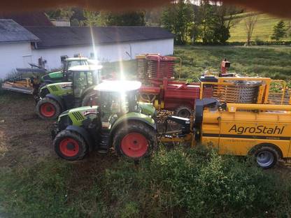 Bild 2:Kürbisvollernte