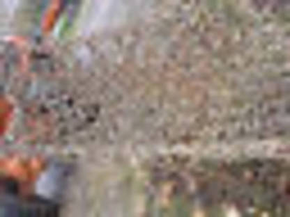 Bild 4:Forstketten, Laderketten, Schneeketten, Felsketten, Bagger