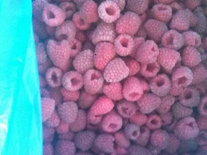Bild 4:Tiefgekühlte Himbeeren