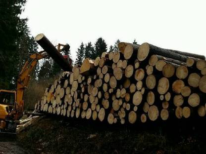 Bild 2:Div. Forstarbeiten