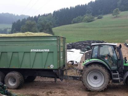 Bild 2:Maisabtransport, Silowalzen