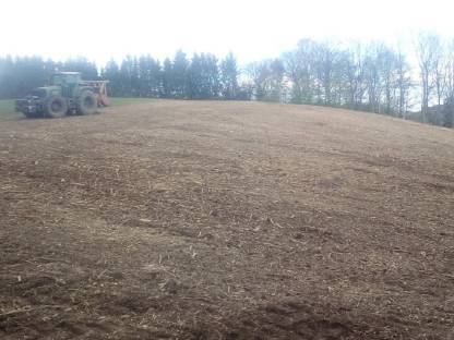 Bild 2:Forstmulchen / Stockfräse