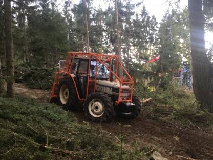 Bild 2:Holzschlägerung, Bringung, Brennholz, Durchforstung, etc.