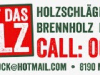 Bild 3:Holzschlägerung, Bringung, Brennholz, Durchforstung, etc.