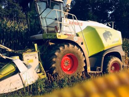 Bild 4:Silomais pressen