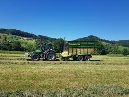 Bild 3:Maisabtransport, Silowalzen