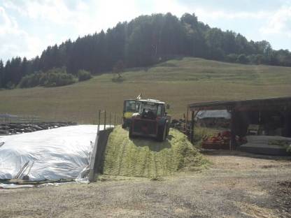 Bild 3:Mais Abtransport, Silowalzen