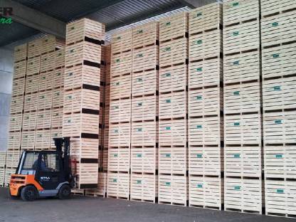 Kisten / Boxen: Kartoffelkisten, Holzkisten 1.600 x 1.200 x 1.230 mm