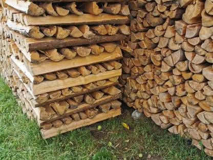 Brennholz