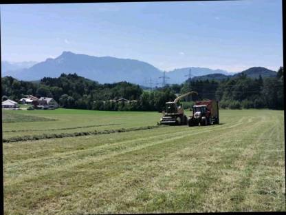 Bild 2:Gras Maishäckseln