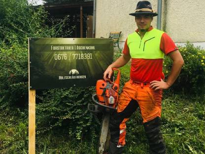 Bild 2:Holzschlägerungen