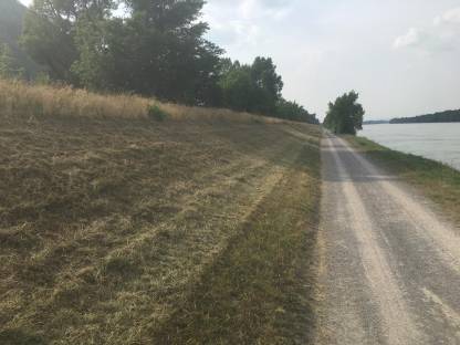 Bild 7:Böschungspflegearbeiten