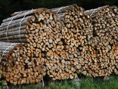 Brennholz in Bündel