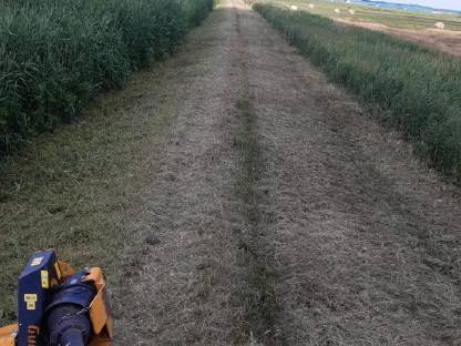 Bild 6:Landschaftspflege, Böschungen mulchen, Mähraupe