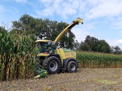 Bild 3:Maisernte mit Agrar Schneeberger