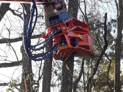 Bild 3:Energieholzernte