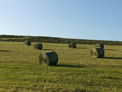 BIO Heu-Rundballen