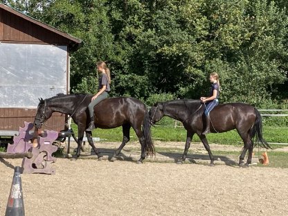 Bild 5:Pferde-Trekking