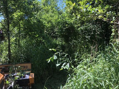 Bild 6:Aufforstungsflächen vorbereiten und pflegen