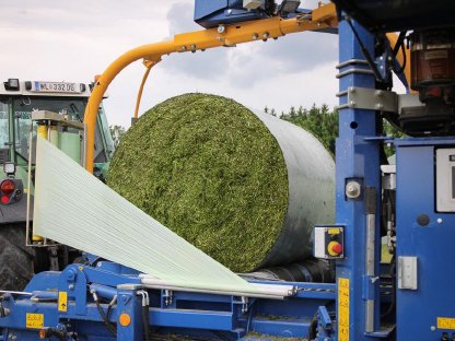 Luzerne/Klee Silage Ballen kurz gehäckselt