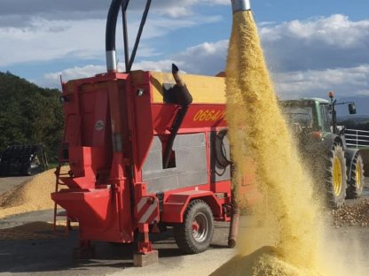 Bild 5:Maisernte mit Agrar Schneeberger